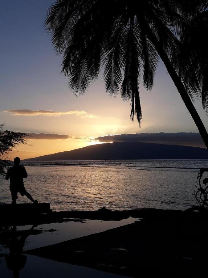 Deluxe Oceanview Maui Studio..New & Updated Kahana Dış mekan fotoğraf